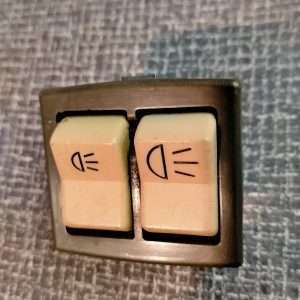 Dubbele verlichtings schakelaar