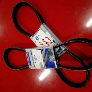 Set waterpomp V-snaren Citroën DS